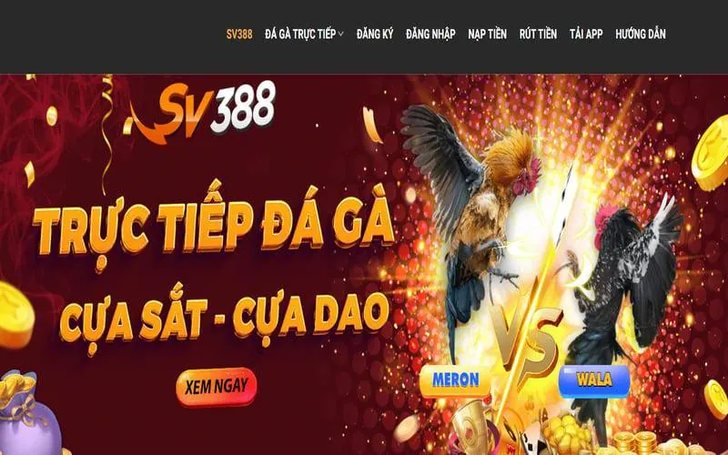 Hướng dẫn Lixi88 - Kiểm tra tài khoản và điều kiện giao dịch
